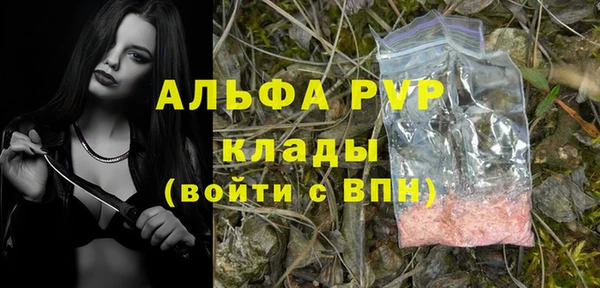 стафф Беломорск