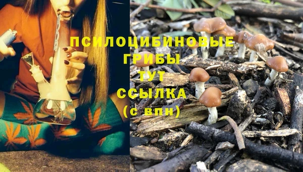 стафф Беломорск
