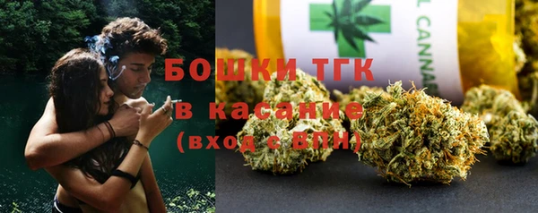 гидра Белоозёрский