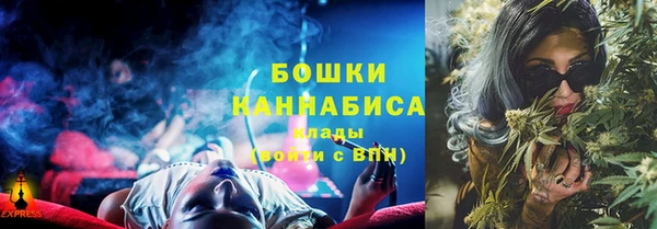 дмт Богородицк
