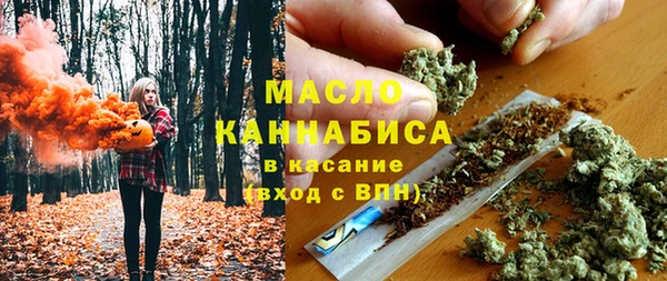 дмт Богородицк