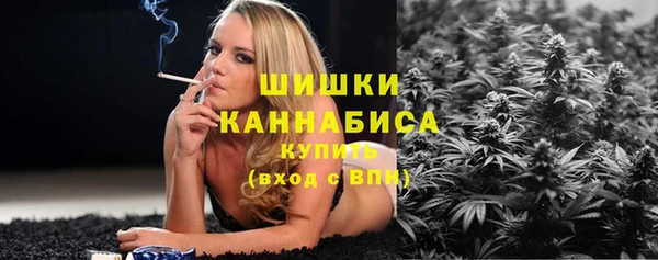 бошки Богданович