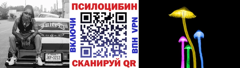 Псилоцибиновые грибы Psilocybe  купить наркотик  Сердобск 