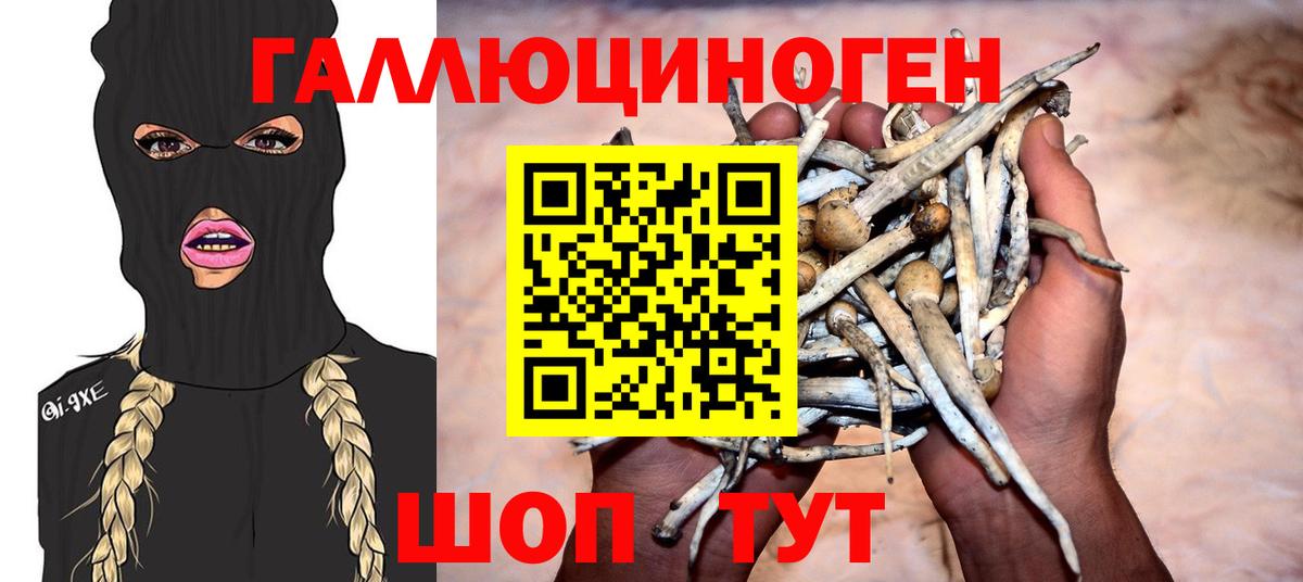 Галлюциногенные грибы Magic Shrooms  Псилоцибиновые грибы Magic Shrooms  Сердобск  Вход с VPN 
